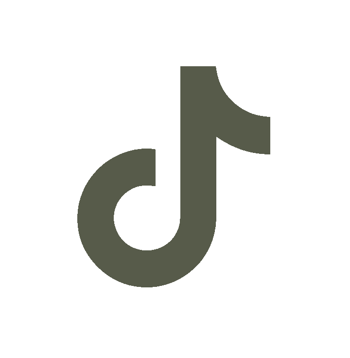 TikTok logo